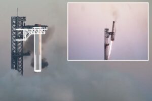 WhatsApp Image 2024-10-15 at 11.24.27 AM