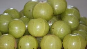 WhatsApp Image 2024-10-16 at 12.07.59 PM