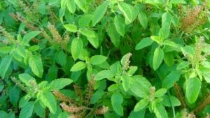 WhatsApp Image 2024-10-16 at 12.09.14 PM