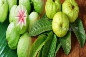 WhatsApp Image 2024-10-16 at 12.14.21 PM