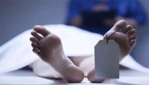 WhatsApp Image 2024-10-17 at 1.06.13 PM