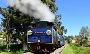 WhatsApp Image 2024-10-17 at 10.51.27 AM