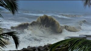 WhatsApp Image 2024-10-17 at 12.41.27 PM