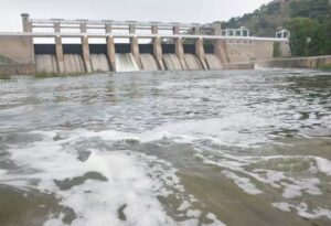 WhatsApp Image 2024-10-17 at 12.54.16 PM