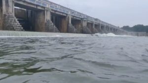 WhatsApp Image 2024-10-18 at 2.07.56 PM