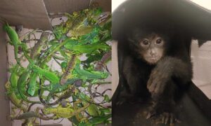 WhatsApp Image 2024-10-18 at 2.08.57 PM