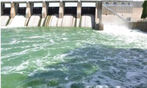 WhatsApp Image 2024-10-18 at 2.33.12 PM