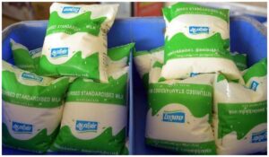 WhatsApp Image 2024-10-19 at 12.34.43 PM