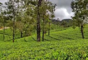 WhatsApp Image 2024-10-19 at 3.42.17 PM