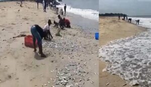 WhatsApp Image 2024-10-21 at 1.20.45 PM