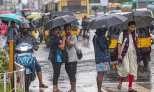 WhatsApp Image 2024-10-21 at 12.45.41 PM