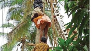 WhatsApp Image 2024-10-22 at 2.46.12 PM