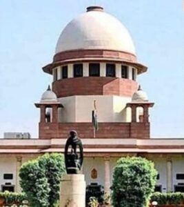 WhatsApp Image 2024-10-23 at 1.19.00 PM