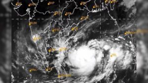 WhatsApp Image 2024-10-23 at 10.56.44 AM