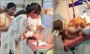 WhatsApp Image 2024-10-23 at 11.18.12 AM