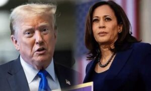 WhatsApp Image 2024-10-23 at 4.03.06 PM