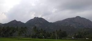 WhatsApp Image 2024-10-23 at 4.07.20 PM