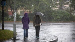 WhatsApp Image 2024-10-23 at 4.09.29 PM