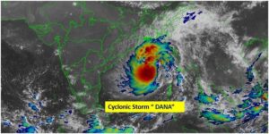 WhatsApp Image 2024-10-24 at 10.35.03 AM