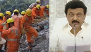 WhatsApp Image 2024-10-25 at 11.31.35 AM