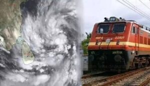 WhatsApp Image 2024-10-25 at 2.31.50 PM