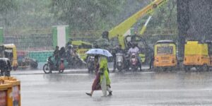 WhatsApp Image 2024-10-26 at 2.46.53 PM