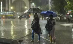 WhatsApp Image 2024-10-26 at 2.52.59 PM