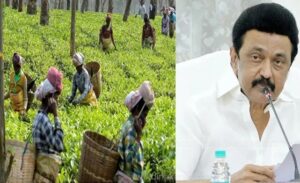 WhatsApp Image 2024-10-30 at 10.59.01 AM