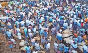 WhatsApp Image 2024-10-30 at 12.12.11 PM