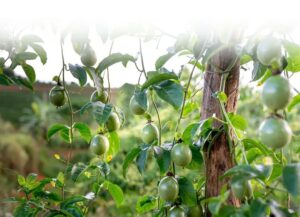 WhatsApp Image 2024-10-30 at 12.24.20 PM