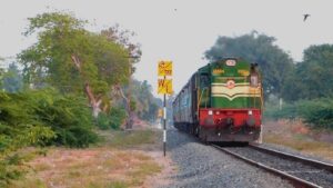 WhatsApp Image 2024-11-02 at 11.26.31 AM