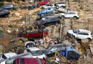 WhatsApp Image 2024-11-02 at 2.31.28 PM