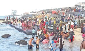 WhatsApp Image 2024-11-02 at 9.58.27 AM