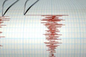 WhatsApp Image 2024-11-04 at 10.35.06 AM