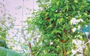 WhatsApp Image 2024-11-04 at 12.00.21 PM