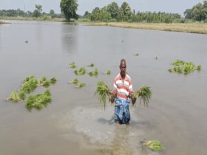 WhatsApp Image 2024-11-04 at 2.12.44 PM