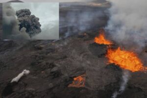 WhatsApp Image 2024-11-04 at 2.15.28 PM