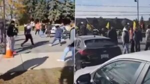 WhatsApp Image 2024-11-04 at 2.18.31 PM