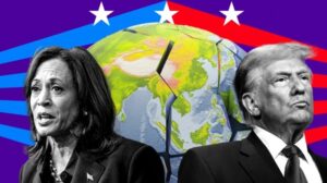 WhatsApp Image 2024-11-05 at 1.33.46 PM