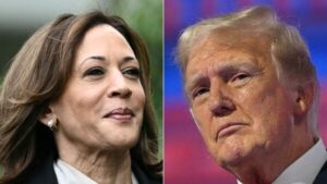 WhatsApp Image 2024-11-05 at 10.40.51 AM