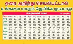 WhatsApp Image 2024-11-05 at 10.49.36 AM