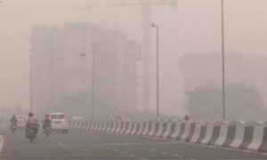 WhatsApp Image 2024-11-05 at 11.50.48 AM