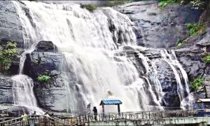 WhatsApp Image 2024-11-05 at 9.58.22 AM