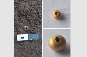 WhatsApp Image 2024-11-09 at 3.02.37 PM