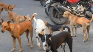 WhatsApp Image 2024-11-09 at 3.28.46 PM