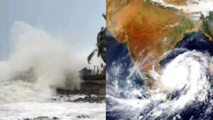 WhatsApp Image 2024-11-09 at 3.42.40 PM