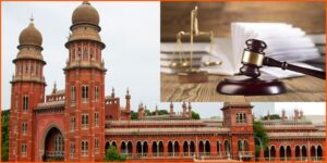 WhatsApp Image 2024-11-11 at 1.31.15 PM