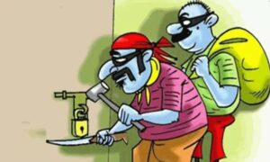 WhatsApp Image 2024-11-11 at 1.34.04 PM