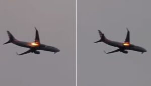 WhatsApp Image 2024-11-11 at 1.57.33 PM