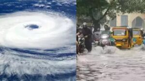 WhatsApp Image 2024-11-11 at 12.24.44 PM